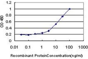 Detection limit for recombinant GST tagged WRN is approximately 0. (RECQL2 抗体  (AA 1322-1432))