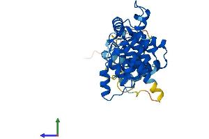 Protein Structure (PS) image for Ankyrin Repeat and SOCS Box Containing 17 (ASB17) (AA 1-295) protein (His tag) (ABIN7559929)