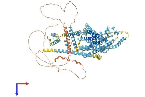 Tmc2 Protein (AA 1-906) (His tag)