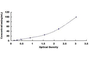 Typical standard curve (Laminin alpha 1 ELISA 试剂盒)