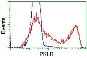 Flow Cytometry (FACS) image for anti-Pyruvate Kinase, Liver and RBC (PKLR) antibody (ABIN1500246) (PKLR 抗体)