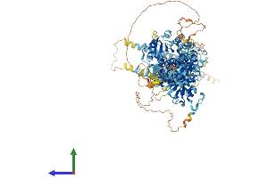 AlphaFold protein structure predicition of Mouse Recombinant Kcnu1 Protein, UniprotID O54982