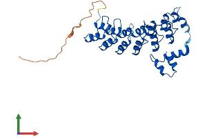 Protein Structure (PS) image for Ankyrin Repeat and SOCS Box Containing 9 (ASB9) (AA 1-290) protein (His tag) (ABIN7560157)
