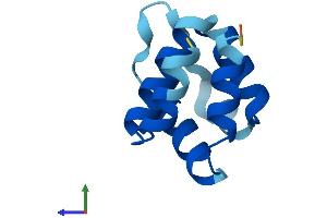 Protein Structure (PS) image for PYD (Pyrin Domain) Containing 1 (PYDC1) (AA 1-89) protein (His tag) (ABIN7551102)