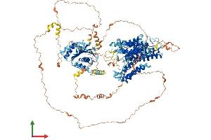 Protein Structure (PS) image for Solute Carrier Family 4, Anion Exchanger, Member 3 (SLC4A3) (AA 1-1232) protein (His tag) (ABIN7552627)