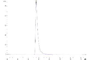 Size-exclusion chromatography-High Pressure Liquid Chromatography (SEC-HPLC) image for Angiotensin I Converting Enzyme 2 (ACE2) (AA 18-740) protein (His-Avi Tag) (ABIN7273793)