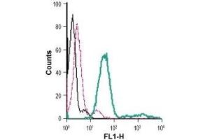 Cell surface detection of P2RX7 in live intact mouse BV-2 microglia cells: (black line) Cells. (P2RX7 抗体  (Extracellular) (FITC))