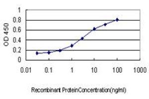 Detection limit for recombinant GST tagged T is approximately 0. (T Brachyury Protein (AA 222-320) 抗体)