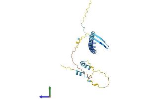 Protein Structure (PS) image for Nucleolar Protein 12 (NOL12) (AA 1-213) protein (His tag) (ABIN7549838)