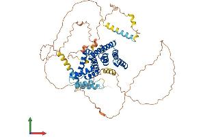 Protein Structure (PS) image for CBP80/20-Dependent Translation Initiation Factor (CTIF) (AA 1-600) protein (His tag) (ABIN7564121)