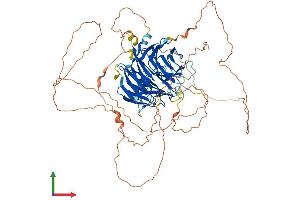 Protein Structure (PS) image for Denticleless E3 Ubiquitin Protein Ligase Homolog (DTL) (AA 1-730) protein (His tag) (ABIN7553752)