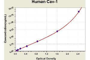 Diagramm of the ELISA kit to detect Human Cav-1with the optical density on the x-axis and the concentration on the y-axis. (Caveolin-1 ELISA 试剂盒)