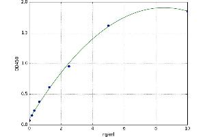 N-Acetyltransferase 8-Like (GCN5-Related, Putative) (NAT8L) ELISA Kit