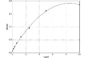 A typical standard curve (NAT8L ELISA 试剂盒)