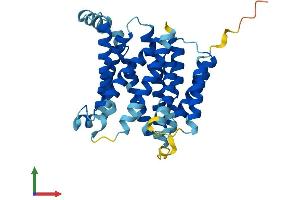 Protein Structure (PS) image for Solute Carrier Family 35 (UDP-N-Acetylglucosamine (UDP-GlcNAc) Transporter), Member A3 (SLC35A3) (AA 1-325) protein (His tag) (ABIN7551624)
