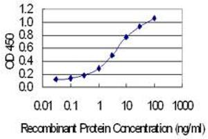 Detection limit for recombinant GST tagged CPNE3 is 0. (Copine III 抗体  (AA 164-244))