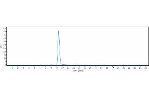 anti-LOXL2 (Simtuzumab Biosimilar) antibody