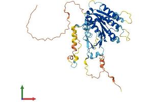 AlphaFold protein structure predicition of Human Recombinant ELP4 Protein, UniprotID Q96EB1