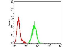 Flow Cytometry (FACS) image for anti-Succinate Dehydrogenase Complex, Subunit B, Iron Sulfur (Ip) (SDHB) (AA 29-280) antibody (ABIN7193552)