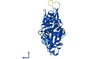 Protein Structure (PS) image for Actin, beta (ACTB) (AA 1-375) protein (His tag) (ABIN7556562)