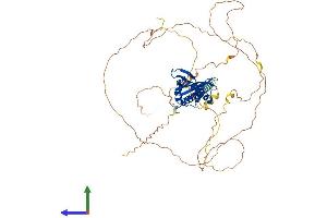 AlphaFold protein structure predicition of Human Recombinant DAB1 Protein, UniprotID O75553