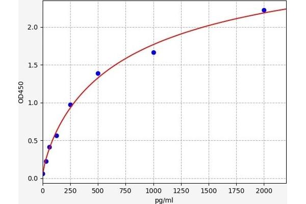 CXCR1 ELISA 试剂盒