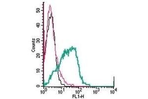 Cell surface detection of P2Y1 Receptor by direct flow cytometry in live intact human MEG-01 megakaryoblastic leukemia cells: (black line) Cells. (P2RY1 抗体  (Extracellular, Loop 2) (FITC))