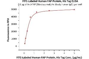 ELISA image for Fibroblast Activation Protein, alpha (FAP) (AA 26-760) (Active) protein (His tag,FITC) (ABIN6973049)