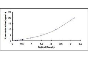 Typical standard curve (S1PR1 ELISA 试剂盒)