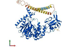 Protein Structure (PS) image for UDP-N-Acetyl-alpha-D-Galactosamine:polypeptide N-Acetylgalactosaminyltransferase 8 (GalNAc-T8) (GALNT8) (AA 1-637) protein (His tag) (ABIN7553982)