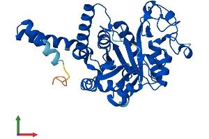 Protein Structure (PS) image for Glycerophosphodiester Phosphodiesterase 1 (GDE1) (AA 1-331) protein (His tag) (ABIN7561666)