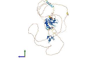 Protein Structure (PS) image for Mex-3 Homolog B (MEX3B) (AA 1-601) protein (His tag) (ABIN7557883)