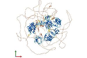Protein Structure (PS) image for Membrane Associated Guanylate Kinase, WW and PDZ Domain Containing 2 (MAGI2) (AA 1-1455) protein (His tag) (ABIN7554461)
