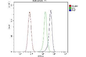 Flow Cytometry analysis of 293T cells using anti-FHIT antibody (ABIN5693307). (FHIT 抗体  (AA 1-147))