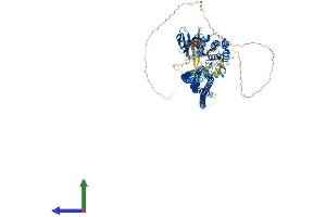 Protein Structure (PS) image for Serine/threonine Kinase 10 (STK10-A) (AA 1-966) protein (His tag) (ABIN7562478)