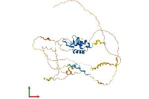 AlphaFold protein structure predicition of Human Recombinant FOXB2 Protein, UniprotID Q5VYV0