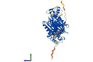 AlphaFold protein structure predicition of Human Recombinant PPM1F Protein, UniprotID P49593 (PPM1F Protein (AA 1-454) (His tag))