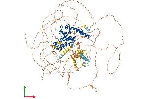 Protein Structure (PS) image for OTU Domain Containing 4 (OTUD4) (AA 1-1114) protein (His tag) (ABIN7554847)