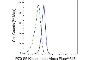 Validation of P70 S6 Kinase beta knockdown using flow cytometry. (Recombinant RPS6KB2 抗体)