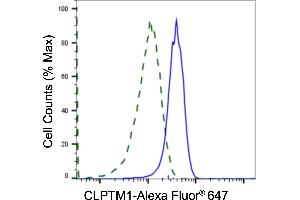 Validation of CLPTM1 knockdown using flow cytometry. (Recombinant CLPTM1 抗体)