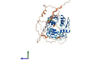 Protein Structure (PS) image for Zinc Finger Protein 79 (ZNF79) (AA 1-498) protein (His tag) (ABIN7545704)
