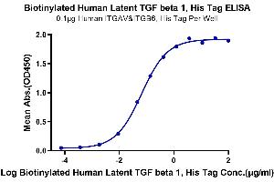 Immobilized Human ITGAV&ITGB6, His Tag at 1 μg/mL (100 μL/Well) on the plate.