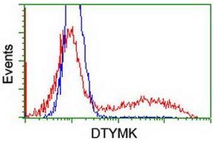 Image no. 6 for anti-Deoxythymidylate Kinase (Thymidylate Kinase) (DTYMK) antibody (ABIN1497918) (DTYMK 抗体)