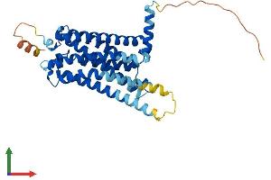 Protein Structure (PS) image for Cannabinoid Receptor 2 (CNR2) (AA 1-347) protein (His tag) (ABIN7563297)