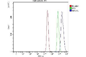 Flow Cytometry analysis of MCF-7 cells using anti-GWL/MASTL antibody (ABIN7600309). (MASTL 抗体  (AA 179-872))