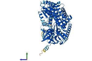 AlphaFold protein structure predicition of Human Recombinant DHX58 Protein, UniprotID Q96C10