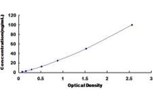 Typical standard curve (Ubiquilin 2 ELISA 试剂盒)