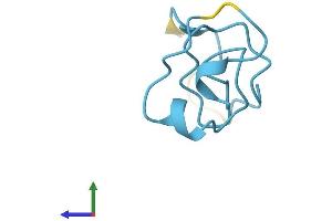 AlphaFold protein structure predicition of Human Recombinant MT1B Protein, UniprotID P07438
