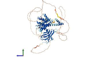 Protein Structure (PS) image for Golgi-Associated, gamma Adaptin Ear Containing, ARF Binding Protein 3 (GGA3) (AA 1-723) protein (His tag) (ABIN7554006)