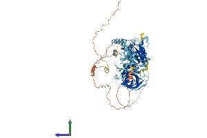 AlphaFold protein structure predicition of Human Recombinant HBS1L Protein, UniprotID Q9Y450